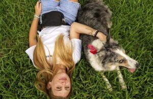 Anbergue favorável para animais de estimação aprimora a experiência da faculdade para estudantes