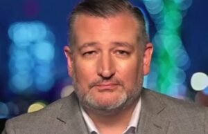 O senador Ted Cruz criticou a ‘vida, liberdade e levin’ do governador da Califórnia