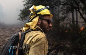 Última hora de incêndio na Espanha, Live | Mais de 68.000 hectares na Galiza