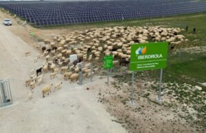 Cyberdolola e Ingatem avançados de plantas solares com novos sistemas de armazenamento