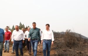 Presente de Sanghez com a área afetada Moocco devido ao incêndio de Oralo em Villablino (pista)