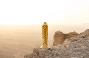 Copa do Mundo do Egito vence o campeonato TFT de jogos do Waibo em 2025