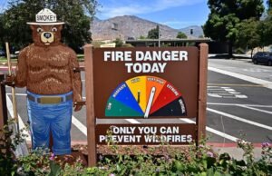 O governo de Trump mudou um pagamento ilegal, a intensidade da sombra da floresta nacional