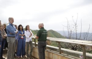 Felip VI, “Diabo” quando as dimensões da tragédia estavam pegando fogo: “Há muito o que fazer”