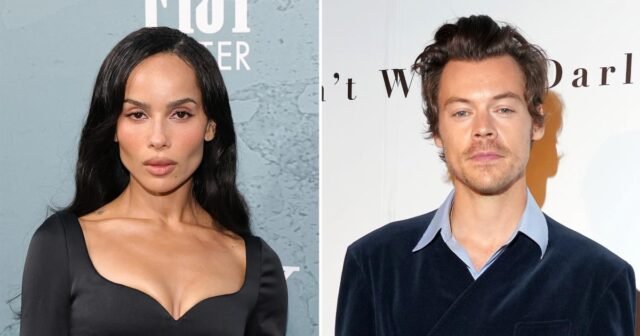 Zoe-Kravitz-Shows-Off-Her-Toned-Figure-in-Sexy-Dress-After-Being-Spotted-With-Harry-Styles.jpg