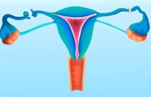 ‘Como seus tubos funcionam para construir?