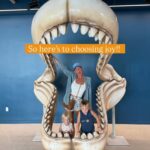 Bethany Hamilton sentiu -se “decepcionado” com os donos de cães após o filho de mordida