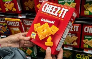 Queijo-hey é os fãs para tentar em uma maravilhosa queda de férias