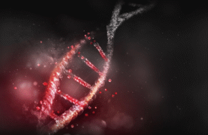 O DNA tem uma data de validade. Mas as proteínas estão revelando os segredos sobre nossos ancestrais antigos que nunca nos sentimos possíveis.