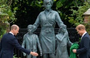 Raciocínio Princesa Diana: Príncipe Harry e o último tributo público do príncipe William