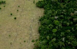 Amazon Mezon Mezon Renforest ‘Points de gorjeta’ está se aproximando que pode convertê -lo em savana de secadora