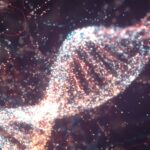 O vírus antigo é instalado em nossos grupos de ajuda de DNA e, aprenda, aprenda