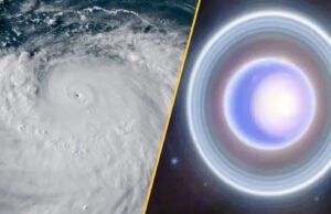 Notícias de ciências nesta semana: galeria de buracos negros e baleia azul que ainda canta