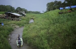 Grupos nativos exigem ação dos líderes sul -americanos na Amazon Mezon Summit