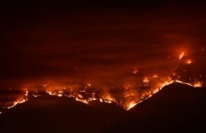 Na região de Los Angeles, o calor ‘discreto’ que causa condições graves em novos selvagens