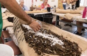 Os moradores de Los Angeles estão tomando bombeiros em suas próprias mãos, limpando o solo de fogo