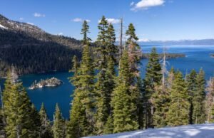 Acredita -se que o caso da peste da Califórnia seja causado por South Lake Taho Flek