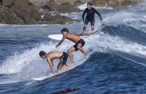 O dia do trabalho será danificado à medida que os analistas alertam de drogas de drogas perigosas, perigo