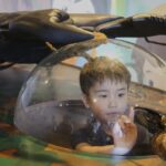 Bugs são um animal de estimação popular em japonês que amava
