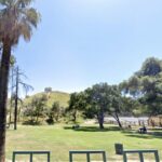 Caro cachorro Maaul Woman morreu em California Park; Um tiro depois de acusar a polícia