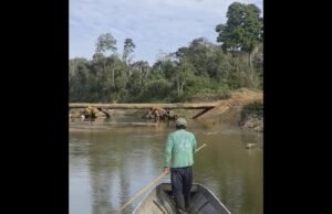 Amazon Mezon Tribibe Separado perto do local da ponte de madeira, Allaraming Watchtog