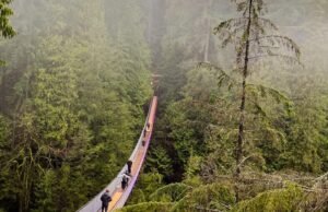 As 14 coisas brilhantes para fazer em Vancouver