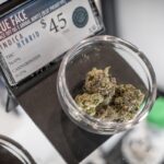 As tentativas de La Mejuana pagarão taxas maiores, como uma indústria de caça