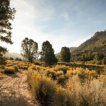 O Parque Nacional está muito lotado? Tente 9 BLM Hold Village