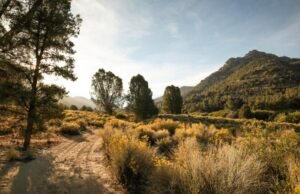 Onde acampar na terra do BLM à distância da direção de LA