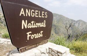 Mulher SoCal foi morta. Seus filhos são apreendidos no Peru.