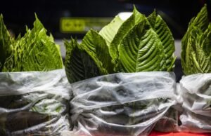 Este fornecedor está sendo proibido nos Estados Unidos do que saber sobre caixas sintéticas