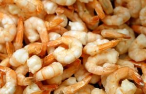 A FDA adverte em um camarão radioativo em potencial