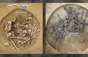 , Dezenas de pessoas foram mortas em uma séria cerimônia de vitória na França há 3 anos