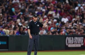 Árbitro de beisebol em Yankees perdeu Fred Sox com vários golpes
