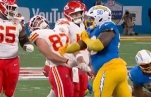 Cobra gigante teair torta com crueldade Taylor Swift Fan