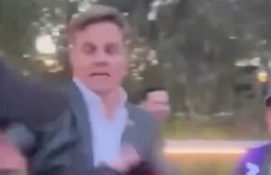 Experimente uma visão com o fã das sete estrelas, com um fã, que olha para os fãs