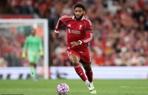 Explante: Pellas Cristal “