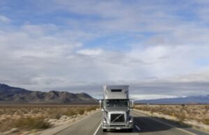 Punjabi Truel Punjabi disse que eles os estavam perseguindo após a gaiola da água da Flórida