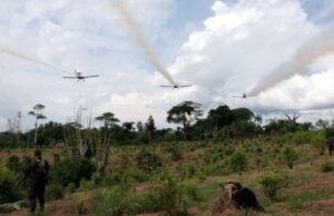 O ombudsman pede que siga as culturas ilegais e se recusa a usar o uso de glifosato na Colômbia