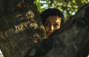 Aconselhamento jurídico: a que distância da árvore ao redor?