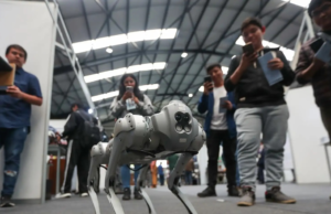 Indiacop abre a quinta chamada do programa de 2025