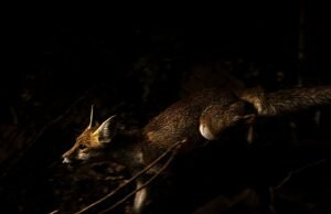 Humanos, natureza e em comum, nas duas fotos de Artexarte