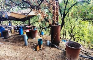 Eles garantem o laboratório clandestino em Olinaalá, Guerrero, com produtos químicos de 3000 litros