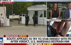 Depois que o julgamento de Ryan Rout foi referido pela RT. O inspetor APPD e advogado de proteção criminal