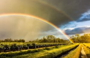 Caráter de Cuba: a temperatura e a chuva na chuva para Havana em 6 de setembro