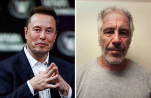 Elon Musk nega uma conexão com Jeffrey Epstein após a liberação de documentos