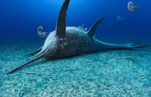 Uma República Jurássica encontrada na Alemanha declara segredos de 180 milhões de vida marinha atrás