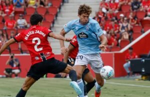 O colapso interpreta o benefício da medula aldo