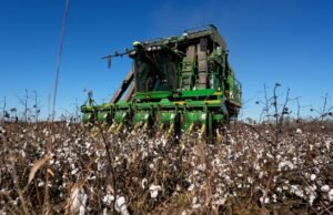 Coordenar os detalhes da Geórgia após o furacão Delatene Helene