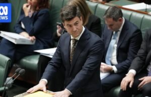 Governo para financiar 20.000 entradas para australianos seniores